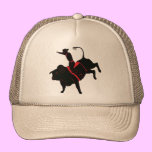 bull riding hats