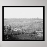 Bull Run Battlefield 1861 Print