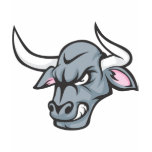 Bull T Shirt | Custom Angry Bull Head T Shirt