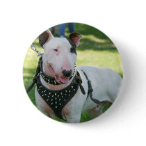 Bull Terrier Button