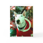 bull terrier christmas cards