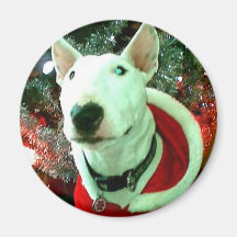 bull terrier christmas magnets