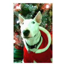 bull terrier christmas stationery