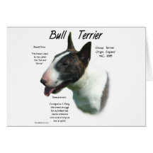 Bull Terrier (coloured) History Design Greeting Cards