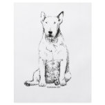 Bull Terrier flyers