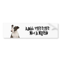 Bull Terrier on Board