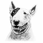 Bull Terrier photo sculptures