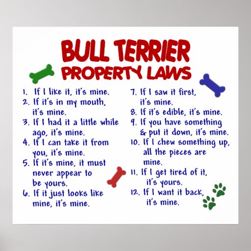 BULL TERRIER PL2 POSTER
