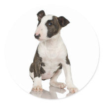 Bull Terrier Sticker