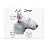 Bull Terrier (wht) History Design postcards