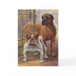 Bulldog and Mastiff  Vintage Greeting Card