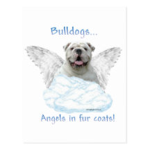 Bulldog Angel Postcards