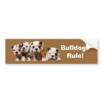 Bulldog Bumper Sticker