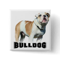 bulldog button