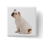 Bulldog Button