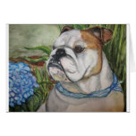bulldog card