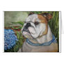 bulldog card