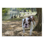 Bulldog Card