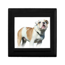 Bulldog dog Gift Box