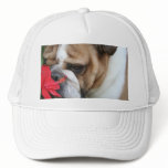 Bulldog Hat "take time to smell the flowers"