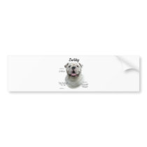 Bulldog History Design