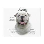 Bulldog History Design postcards