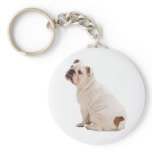 Bulldog Keychain
