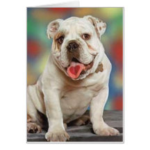 Bulldog Love Cards