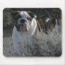 Bulldog Mouse pad
