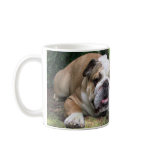 Bulldog Mug