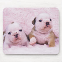 Bulldog; often called the English Bulldog. Is a Mouse Pads