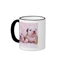 Bulldog; often called the English Bulldog. Is a Coffee Mug