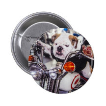 Bulldog on Motorcycle Buttons