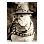 Bulldog on patrol wearing hat and cape postcard