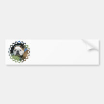 Bulldog Photo Bumper Sticker