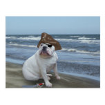 Bulldog Pirate on the beach Postcards