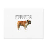 Bulldog Postcards