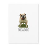 Bulldog Postcard
