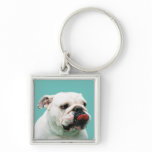 Dog Keychains