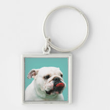 Bulldog Premium Keychain