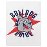 Bulldog Pride flyers