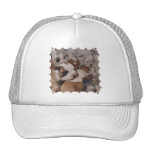 Bulldog  Puppies Baseball Hat