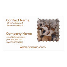 Bulldog  Puppies Business Card