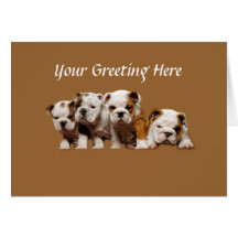 Bulldog Puppies Card