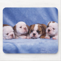 Bulldog puppies mousepads