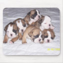 bulldog puppies mousepads