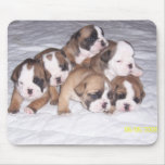 bulldog puppies mousepads