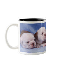 Bulldog puppies mugs