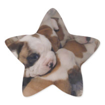 Bulldog  Puppies Stickers