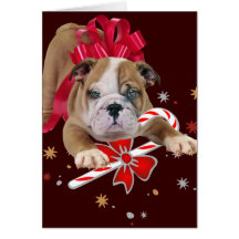 Bulldog puppy with red bow and candy cane greeting card